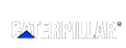Caterpillar